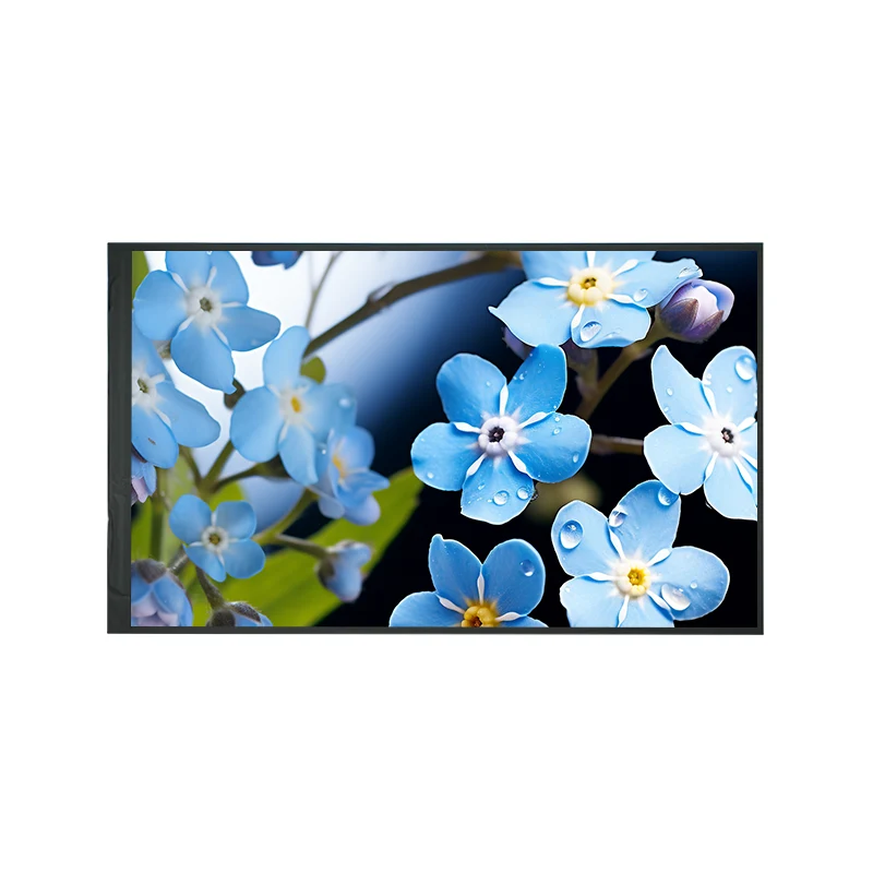 8.0 'IPS HD HD TFT LCD Display Module